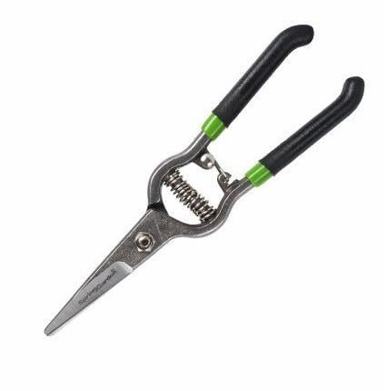 Spring Garden Üzüm Makası İzole Saplı